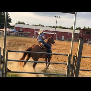 Meet your Posher, Kassidy